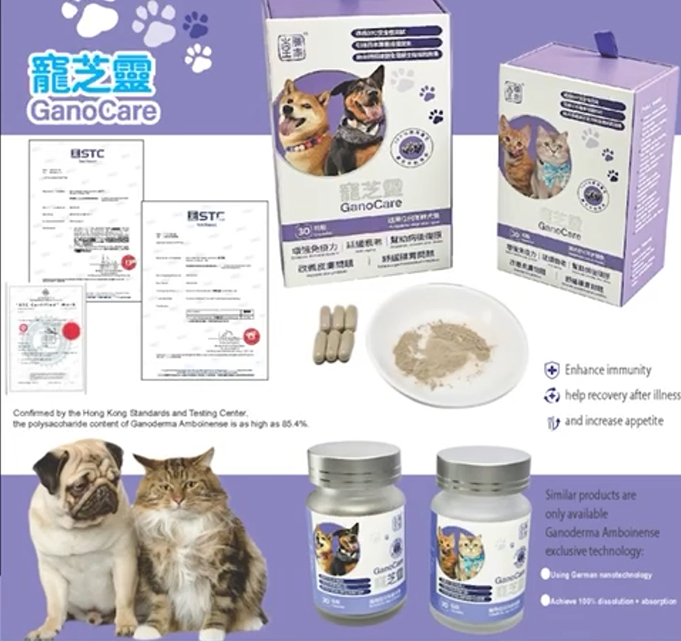 Pet Reishi Mushroom Supplement for cats